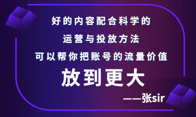 【副业项目3305期】（怎么投dou+快速涨粉）张sir账号流量增长课，让你的流量更精准-易学副业