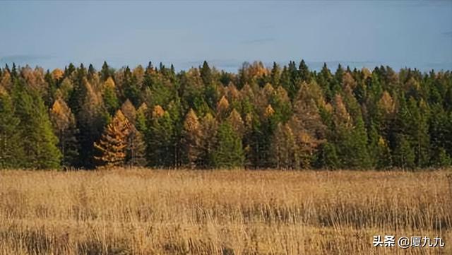 信息差赚钱｜3个拉开信息差的方法，快速提升赚钱能力插图5