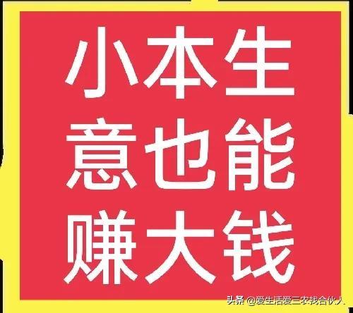 2022年投资小利润高的小生意，失业后做什么小本生意好-易学副业