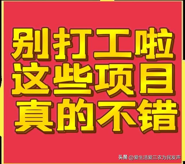 比打工强的小生意，农村小项目有哪些-易学副业