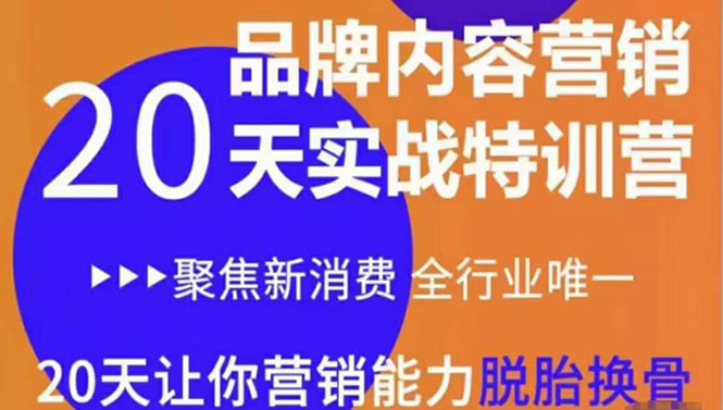 【副业项目3899期】《内容营销实操特训营》20天让你营销能力脱胎换骨（价值3999）-易学副业