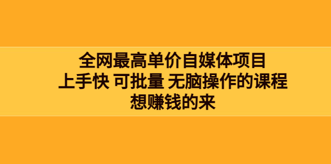 【副业项目3976期】全网最单高价自媒体项目：上手快 可批量 无脑操作的课程，想赚钱的来-易学副业