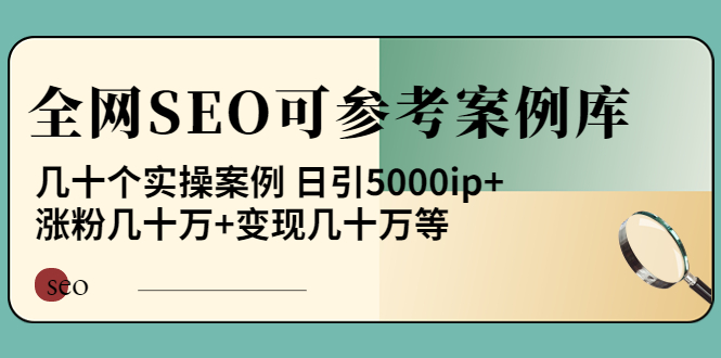 【副业项目4188期】《全网SEO可参考案例库》几十个实操案例 日引5000ip+涨粉百W+变现几十W等-易学副业