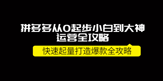 【副业项目4227期】拼多多从0起步小白到大神运营全攻略，快速起量打造10W+爆款全攻略-易学副业