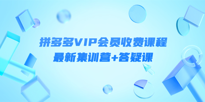 【副业项目4426期】某社群·拼多多VIP会员收费课程，最新集训营+答疑课-价值3299元-易学副业