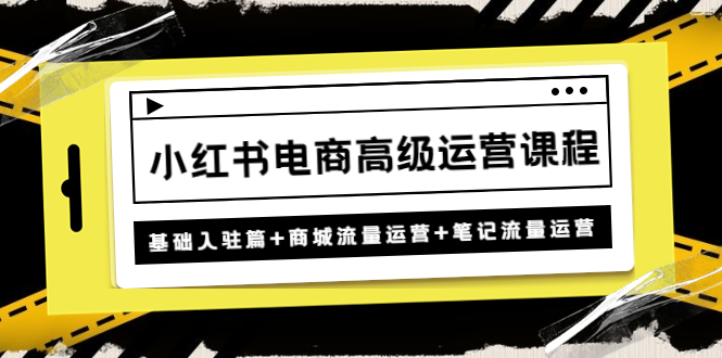 【副业项目4879期】小红书电商高级运营课程：基础入驻篇+商城流量运营+笔记流量运营-易学副业