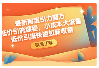 【副业项目4943期】最新淘宝引力魔方低价引流实操：小成本大流量，低价引流快速拉新收割-易学副业