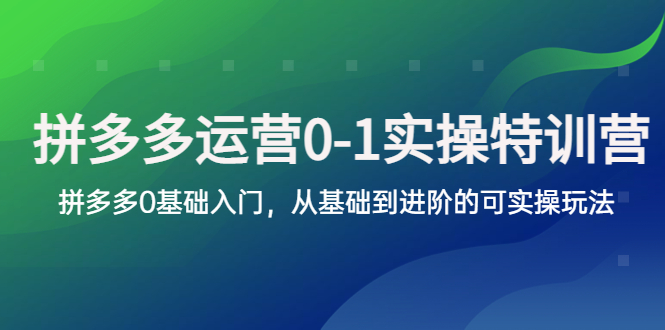 【副业项目5801期】拼多多-运营0-1实操训练营，拼多多0基础入门，从基础到进阶的可实操玩法-易学副业