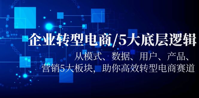 【副业项目5960期】企业转型电商/5大底层逻辑，从模式 数据 用户 产品 营销5大板块，高效转型-易学副业