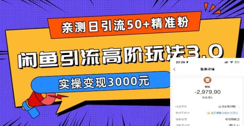 【副业项目5795期】实测日引50+精准粉，闲鱼引流高阶玩法3.0，实操变现3000元-易学副业