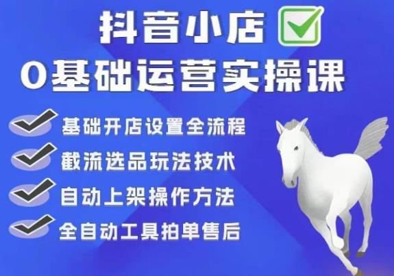 【副业项目6317期】白马电商·0基础抖店运营实操课，基础开店设置全流程，截流选品玩法技术-易学副业