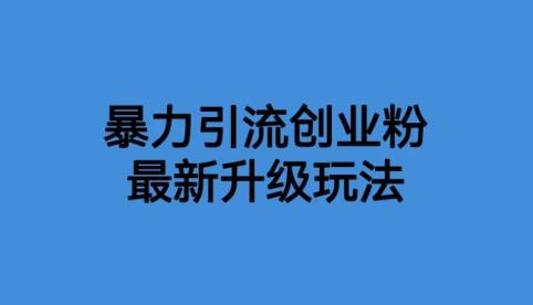 【副业项目6372期】价值1980一千个野路子暴力引流最新升级玩法【揭秘】-易学副业