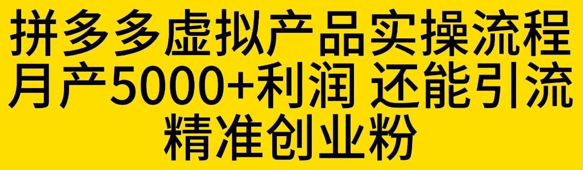 【副业项目6569期】拼多多虚拟产品实操流程，月产5000+利润，还能引流精准创业粉-易学副业