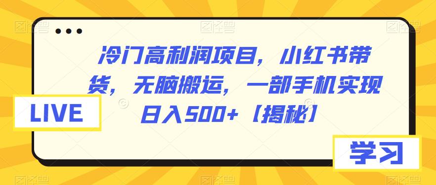 【副业项目6875期】冷门高利润项目，小红书带货，无脑搬运，一部手机实现日入500+【揭秘】-易学副业