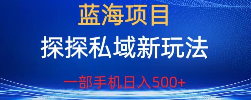 【副业项目6894期】蓝海项目，探探私域新玩法，一部手机日入500+很轻松【揭秘】-易学副业