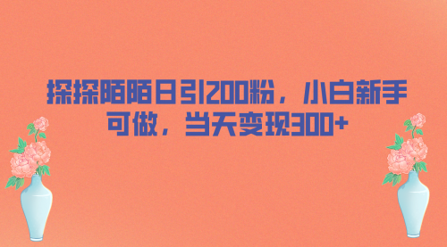 【副业项目7026期】探探陌陌日引200粉，小白新手可做，当天就能变现300+-易学副业