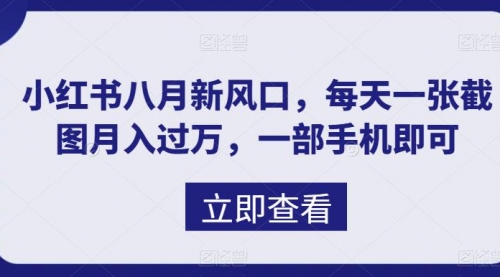 【副业项目7078期】八月新风口，小红书虚拟项目一天收入1000+-易学副业