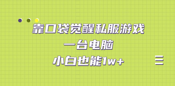 【副业项目7248期】靠口袋觉醒私服游戏，一台电脑，小白也能1w+（教程+工具+资料）-易学副业