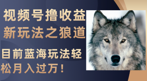 【副业项目8271期】视频号撸收益新玩法之狼道，目前蓝海玩法轻松月入过万！-易学副业