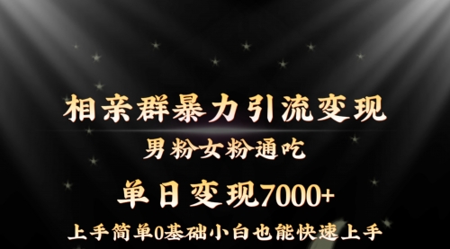 【副业8845期】相亲群暴力引流男粉女粉通吃变现玩法，单日变现7000+保姆教学1.0-易学副业