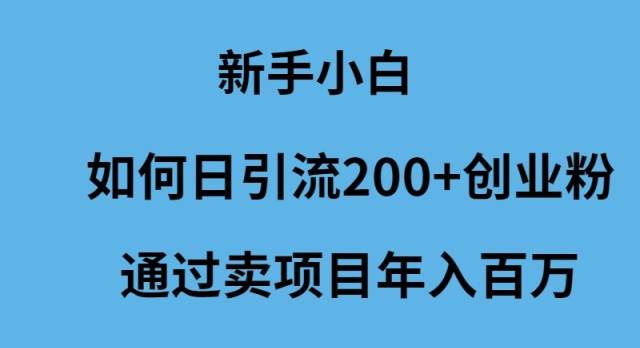 新手小白如何日引流200+创业粉通过卖项目年入百万-易学副业