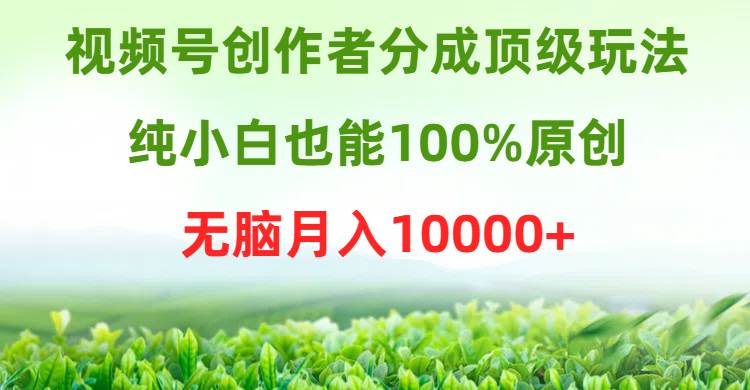 视频号创作者分成顶级玩法，纯小白也能100%原创，无脑月入10000+-易学副业