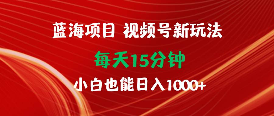 蓝海项目视频号新玩法 每天15分钟 小白也能日入1000+-易学副业