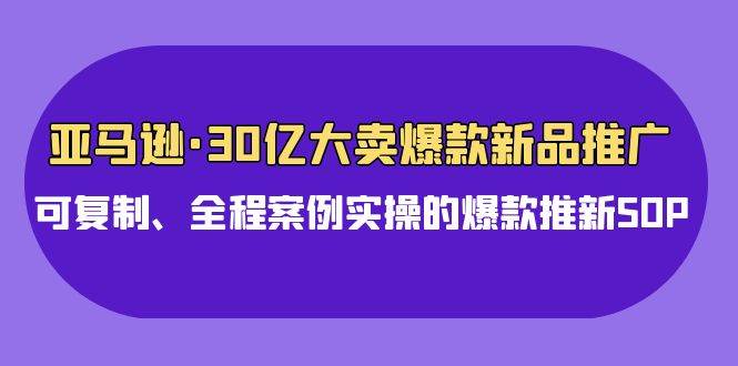 亚马逊30亿·大卖爆款新品推广，可复制、全程案例实操的爆款推新SOP-易学副业