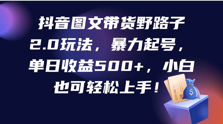 抖音图文带货野路子2.0玩法，暴力起号，单日收益500+，小白也可轻松上手！-易学副业