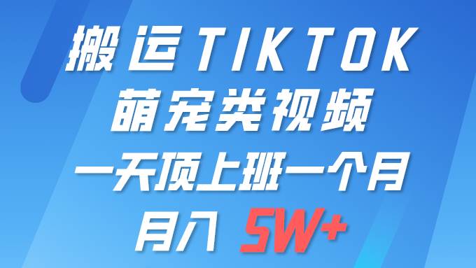 一键搬运TIKTOK萌宠类视频 一部手机即可操作 所有平台均可发布 轻松月入5W+-易学副业