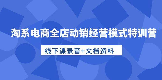 淘系电商全店动销经营模式特训营，线下课录音+文档资料-易学副业