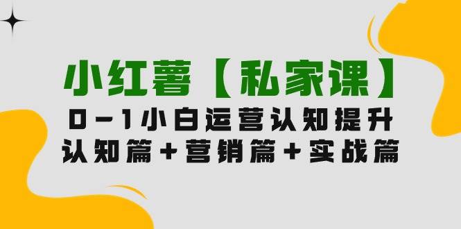 小红薯【私家课】0-1玩赚小红书内容营销，认知篇+营销篇+实战篇（11节课）-易学副业