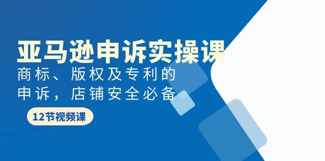 亚马逊-申诉实战课，商标、版权及专利的申诉，店铺安全必备-易学副业