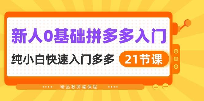 新人0基础拼多多入门，纯小白快速入门多多（21节课）-易学副业