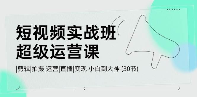 短视频实战班-超级运营课，|剪辑|拍摄|运营|直播|变现 小白到大神 (30节)-易学副业