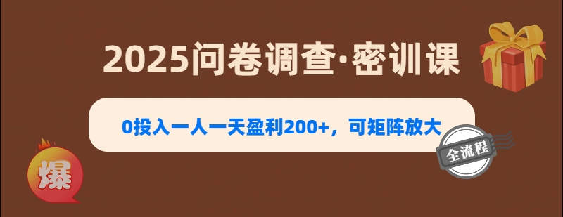 2025《问卷调查》0投入一人一天盈利200+，可矩阵放大-易学副业